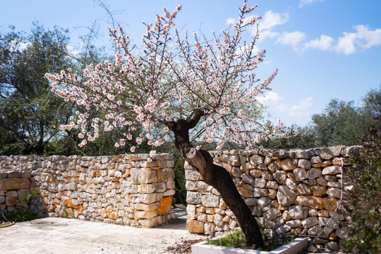 Masseria Montepaolo Dimora Di Charme กอนแวร์ซาโน ภายนอก รูปภาพ